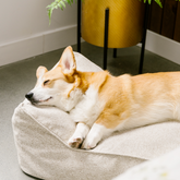 Therapet bed spare cover, 2 sizes